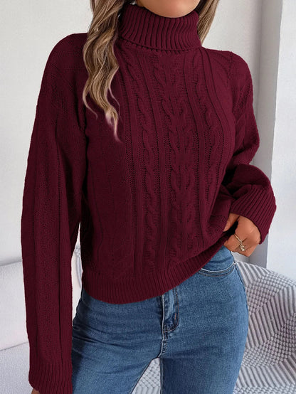 Pull manches longues et col montant.